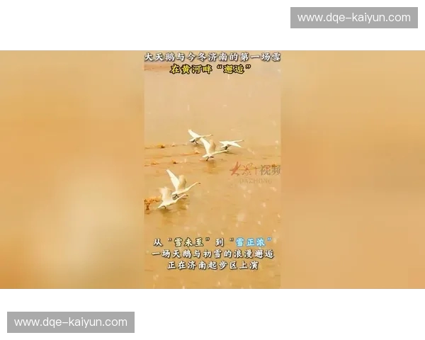 仙台vs天鹅：一场跨越山海的浪漫邂逅